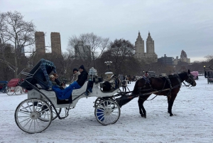 Passeggiata guidata a Central Park e NYC in carrozza a cavallo