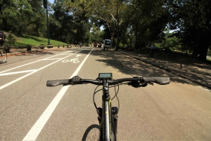 Visita guiada en bicicleta eléctrica por Central Park