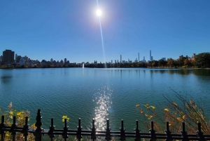 NYC: Tour guidato di Elite in Pedicab a Central Park