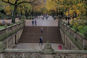 NYC: Tour guidato di Elite in Pedicab a Central Park