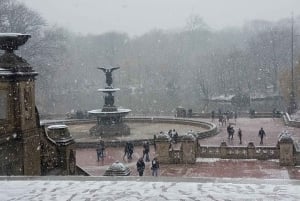 NYC: Guided Elite Pedicab Tour in Central Park