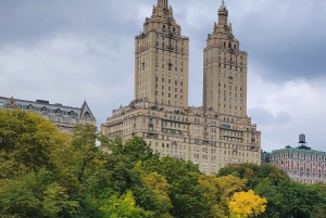 NYC: Guidet Elite Pedicab-tur i Central Park med guide