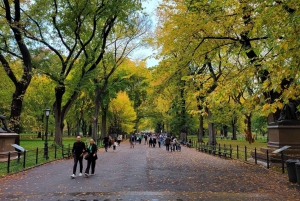 NYC: Guidet Elite Pedicab-tur i Central Park med guide