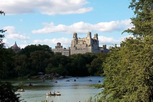 NYC: Guidet Elite Pedicab-tur i Central Park med guide