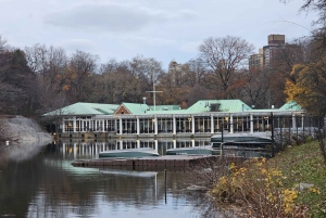 NYC: Guidet Elite Pedicab-tur i Central Park med guide