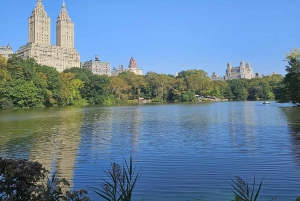 NYC: Guidet Elite Pedicab-tur i Central Park med guide