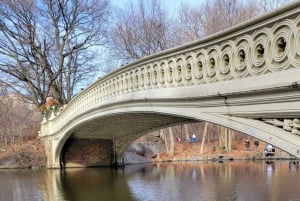 Visita guiada en bicitaxi exprés por Central Park