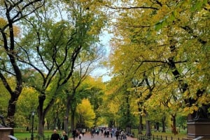 Guidad tur med Express Pedicab i Central Park