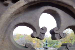 Visite guidée en cyclo-pousse dans Central Park