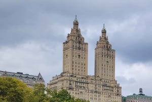 Visita guiada en bicitaxi exprés por Central Park