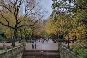 Visita guiada en bicitaxi por Central Park
