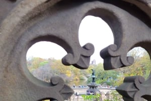 Visita guiada en bicitaxi por Central Park