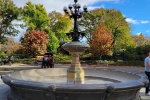 Visita guiada en bicitaxi por Central Park