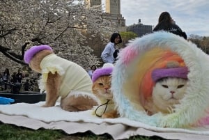 Visita guiada en bicitaxi por Central Park