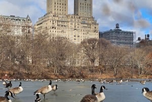 Visita guiada en bicitaxi por Central Park