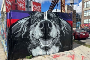 Guided tour in French of Brooklyn Bushwick and Williamsburg