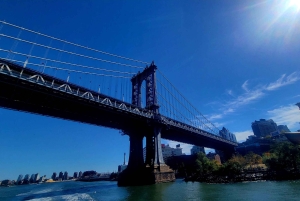 Guidet tur i Brooklyn Williamsburg og Dumbo på fransk