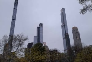 Rondleiding door het centrale park