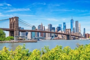 NYC: Best of New York in Half-Day Bus Tour