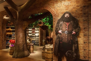 Harry Potter Shop New York: Magiske opplevelser