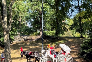 Hello New York: Ditt första äventyr i det stora äpplet