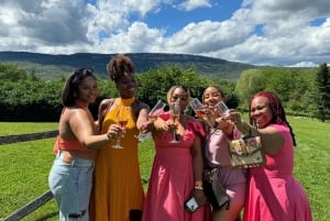 Tour de vinhos em Hudson Valley: O único tour guiado por sommelier de NY!