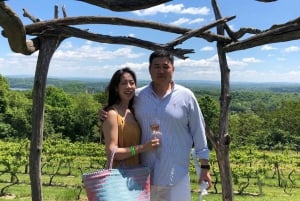 Tour de vinhos em Hudson Valley: O único tour guiado por sommelier de NY!