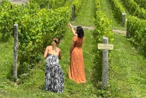 ハドソンバレーワインツアー：ニューヨークで唯一のソムリエガイド付きツアー！