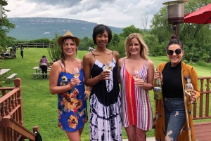 ハドソンバレーワインツアー：ニューヨークで唯一のソムリエガイド付きツアー！