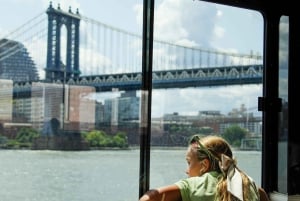 iBoatNYC: 1 uur durende beste sightseeingtour per boot in NYC