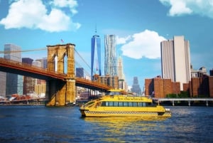 Fordybende New York 3 dage fra Montreal