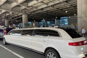 JFK /EWR luchthaven Stretch Limo ophaalservice + een uur NYC tour