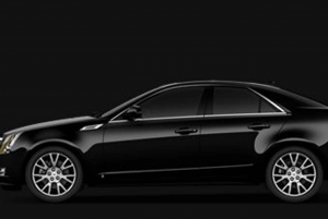 LaGuardia Airport-Brooklyn Cruise Port Private Transfer