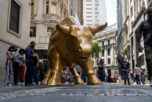 Lower Manhattan Tour: Wall Street & 9/11 Memorial