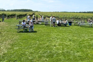 Private Luxury Winery Trip of Long Island, New York, USA