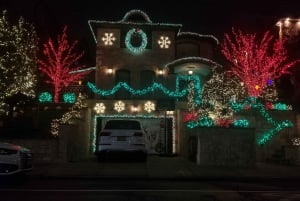 Magnífico Recorrido por las Luces de Navidad de Dyker Heights Brooklyn