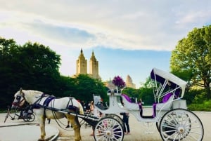 Manhattan : Promenade en calèche privée VIP dans Central Park