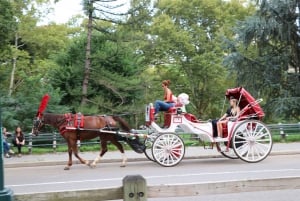 Manhattan : Promenade en calèche privée VIP dans Central Park