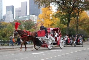 Manhattan: VIP privat tur med häst och vagn i Central Park