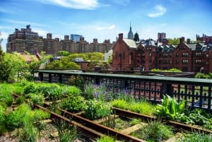 Meatpacking District: рынок Челси и Highline Tour