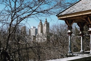 Combo NYC : Musée d'art métropolitain + visite de Central Park