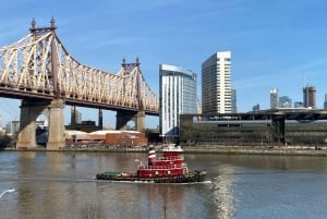 Visita al centro de Manhattan