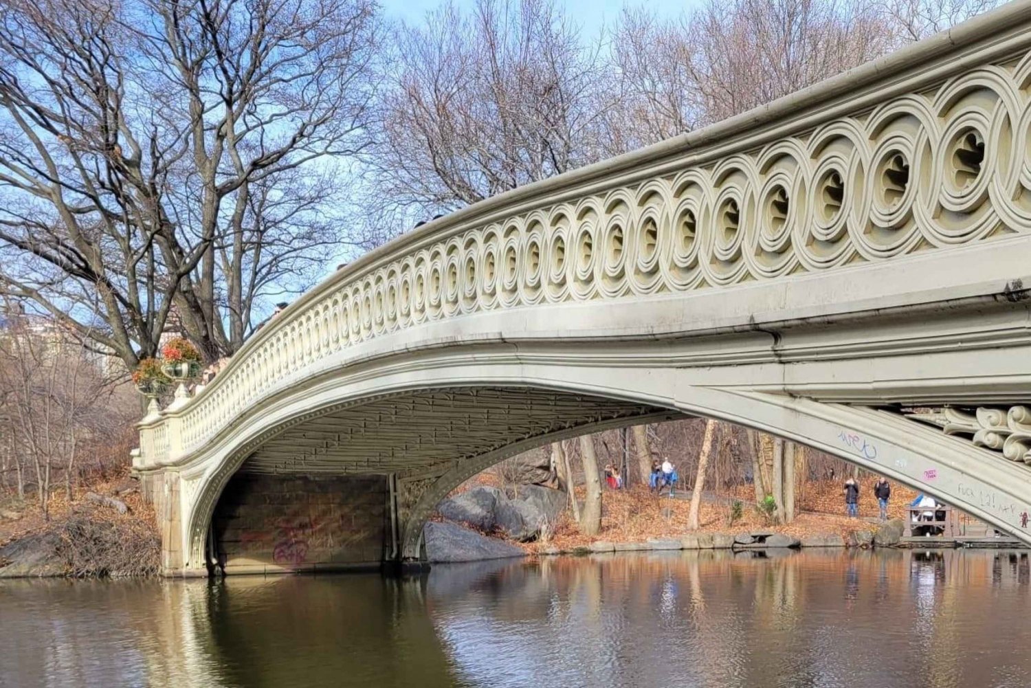 Guided Economy Pedicab Tour in Central Park