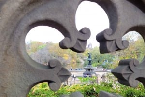 Visite guidée en cyclo-pousse économique dans Central Park