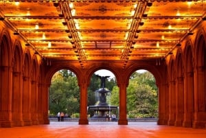 Visite guidée en cyclo-pousse économique dans Central Park