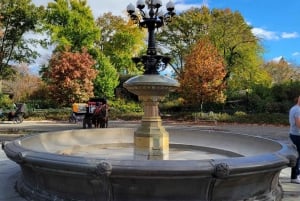 Visite guidée en cyclo-pousse économique dans Central Park