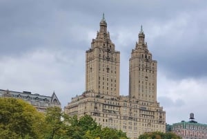 Visite guidée en cyclo-pousse économique dans Central Park