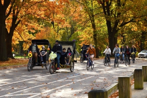 Nueva York: #nº 1 Recorrido en bicitaxi por Central Park