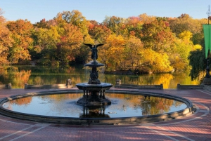 Nueva York: #nº 1 Recorrido en bicitaxi por Central Park