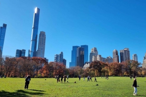 New York : #1 Visite de Central Park en Pedicab